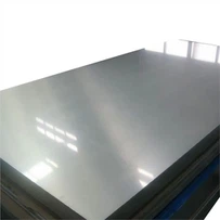 309 Stainless Plates